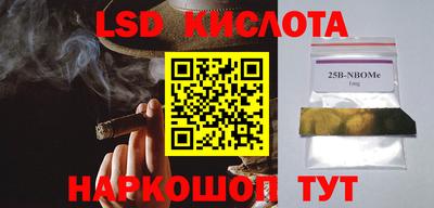 бошки Гагарин