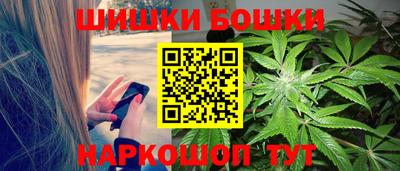 индика Гай