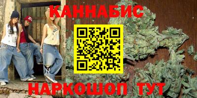 индика Гай