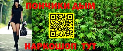 индика Гай