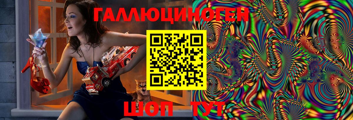 Псилоцибиновые грибы Psilocybe  Вход с VPN  купить  цена  Дзержинск 